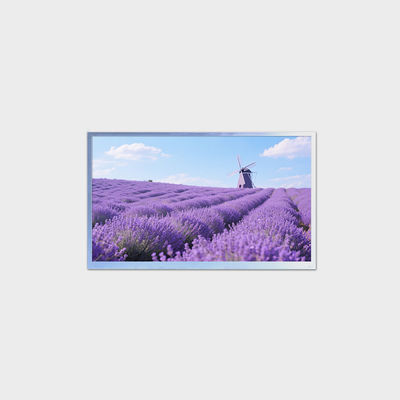 17.3 Inch High Brightness LCD Panel 1920*1080 LVDS 800nits LCMA-RX0173GA01-C080