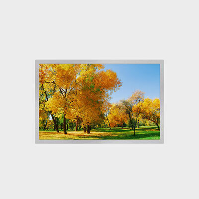 12.1 Inch TFT LCD Display With 1280*800 Resolution 16:9 LVDS Inerface 1500nits