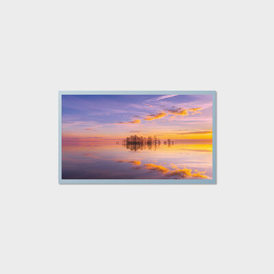 21.5 Inch TFT LCD Display Industrial Middle Size Solution With 1000nits Support Outdoor.