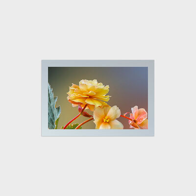 27 Inch Square Type TFT LCD With 1847*1154 Resolution Cutting Solution