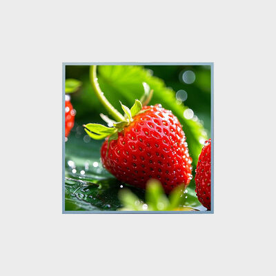 33.3 Inch Square Type LCD Solution With 1:1 Aspect Ratio Support Advertising Project