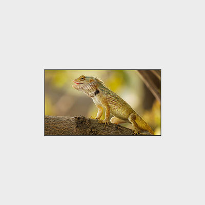 2000nits High Brightness 3840*2160 98-inch LCD Display for Optimal Performance