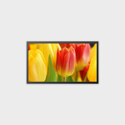 32 inch TFT LCD Machine Rechargeable Support Android 13.0 System
