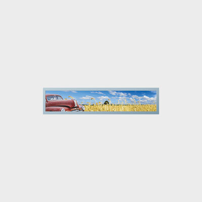 28 Inch Bar Type TFT Display Subway Transportation Application With Customization
