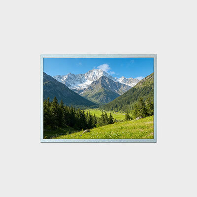 15 Inch TFT LCD Display With 1024*768 Resolution Support -30~80°C Solution