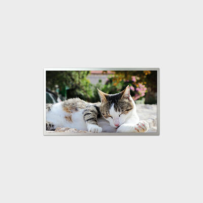 18.5 Inch TFT LCD Display E-LED type Series Solution With 1200nits Brightness