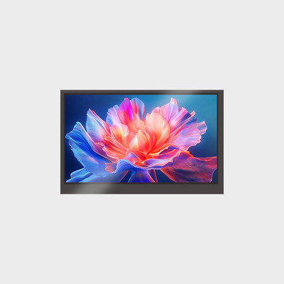 7.0 Inch Medium & Small LCD Display 1024*600 RGB Display With Touch Panel