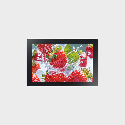 10.1 Inch Support 1000nits High Brightness With 1920*1200 Resolution Solution