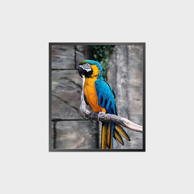 High Brightness Square LCD Display in 3.4-63.7