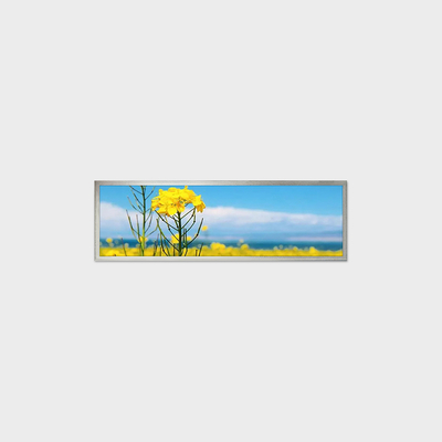 19.4 Inch TFT LCD Display Solution With 1920*510 Support Customization Smart Home Application