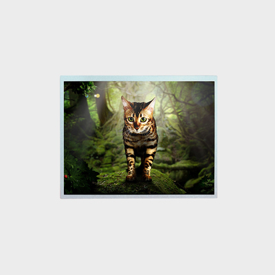 15 inch TFT LCD Display With 1000nits Brightness Outdoor VA Charging Machine