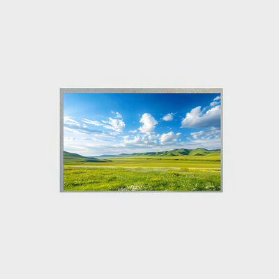 10.1 Inch With High Contrast Ratio LCD for Industrial Equipment Displays