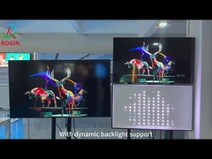 Rogin Local Dimming Technical Supporting Introduction