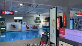 Rogin's Show Room-Small & Middle Size Full‑HD LCD module