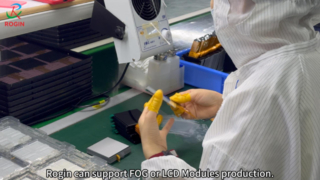 Rogin's 3 different LCD factories with different roles in the productions and customized solutions.