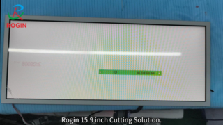 Rogin 15.9